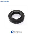 Retentor Roda Tras Esq YBR 125 00 / Vedamotors