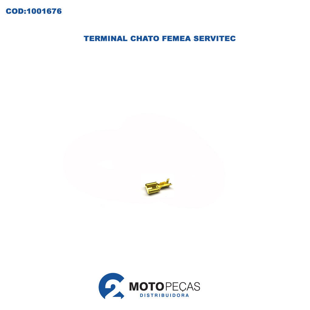 Terminal Chato Femea Servitec