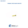 Terminal Chato Macho Servitec