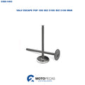 Valv Escape Pop 100/ Biz C100/ Biz C100 WGK