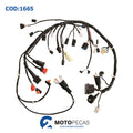 Fiacao XRE 300 10 Magnetron
