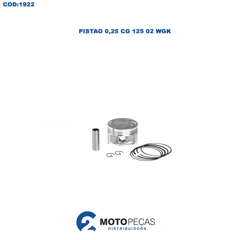 Pistao 0,25 Titan 125 02/08 Bros 125 03/05 WGK