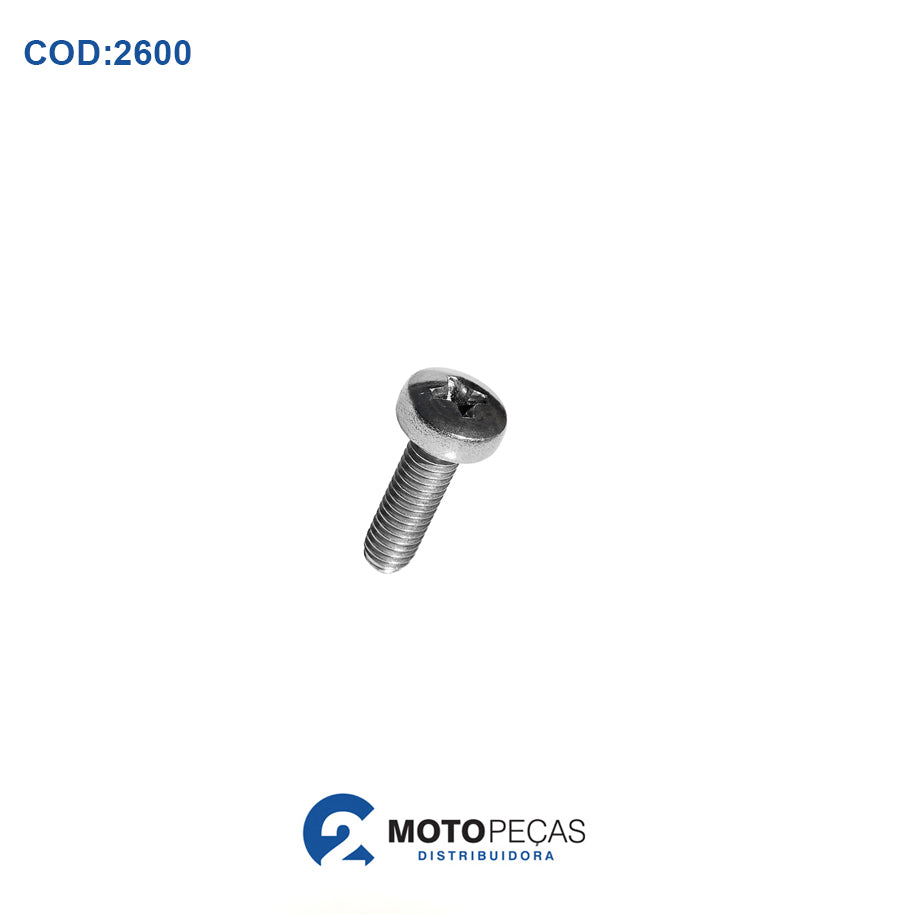 Parafuso Phillips TP do Motor 6X10 [e da Bomba de Oleo da Biz] FLYNN