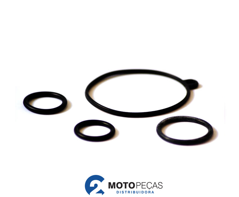 Kit Reparo do Carburador Biz Vedox