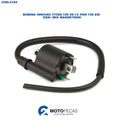 Bobina Ignicao Titan 150 0913 /FAN 150 Esi /ESDI /MIX Magnetron
