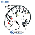 Fiacao XRE 300 11/12 Magnetron