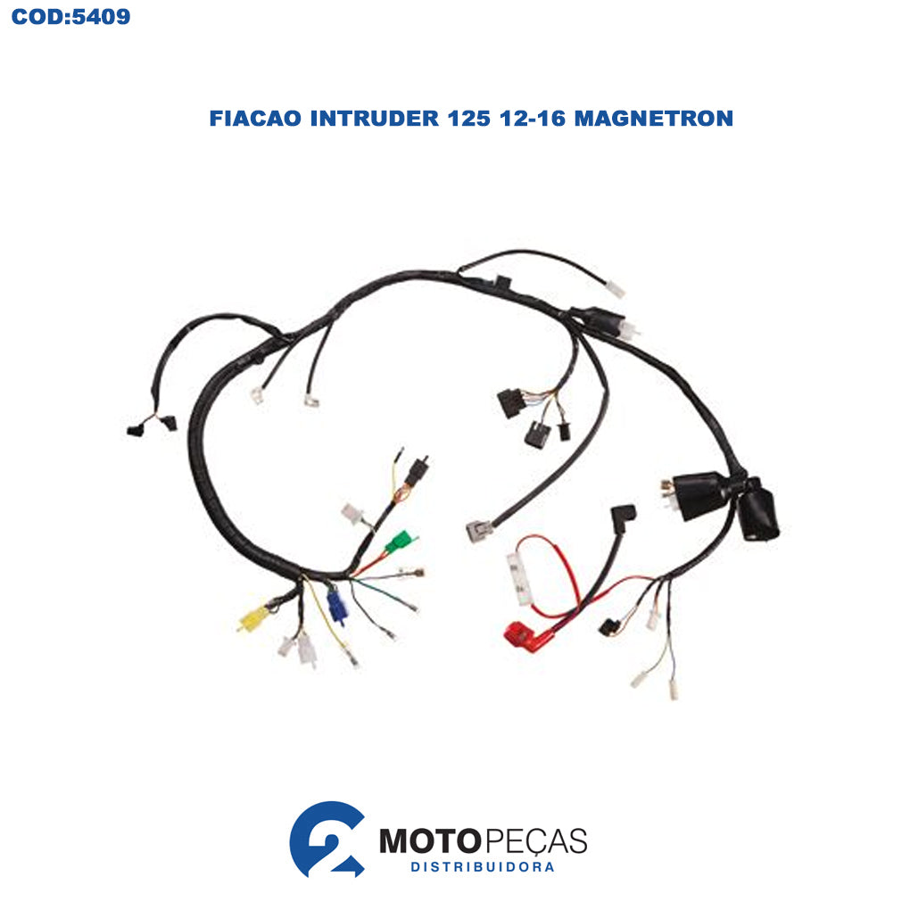 Fiacao Intruder 125 1216 Magnetron