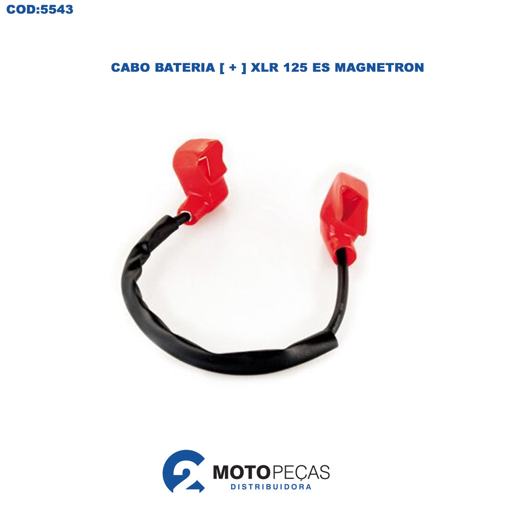 Cabo Bateria [ + ] XLR 125 ES Magnetron
