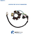 Estator YBR 125 00 01 Magnetron