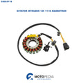 Estator Intruder 125 11-16 Magnetron