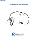 Fiacao Biz 125+ 0608 Magnetron