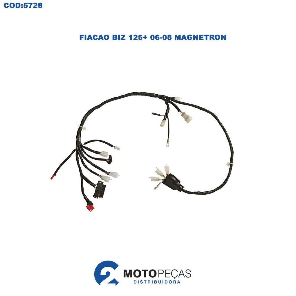 Fiacao Biz 125+ 0608 Magnetron
