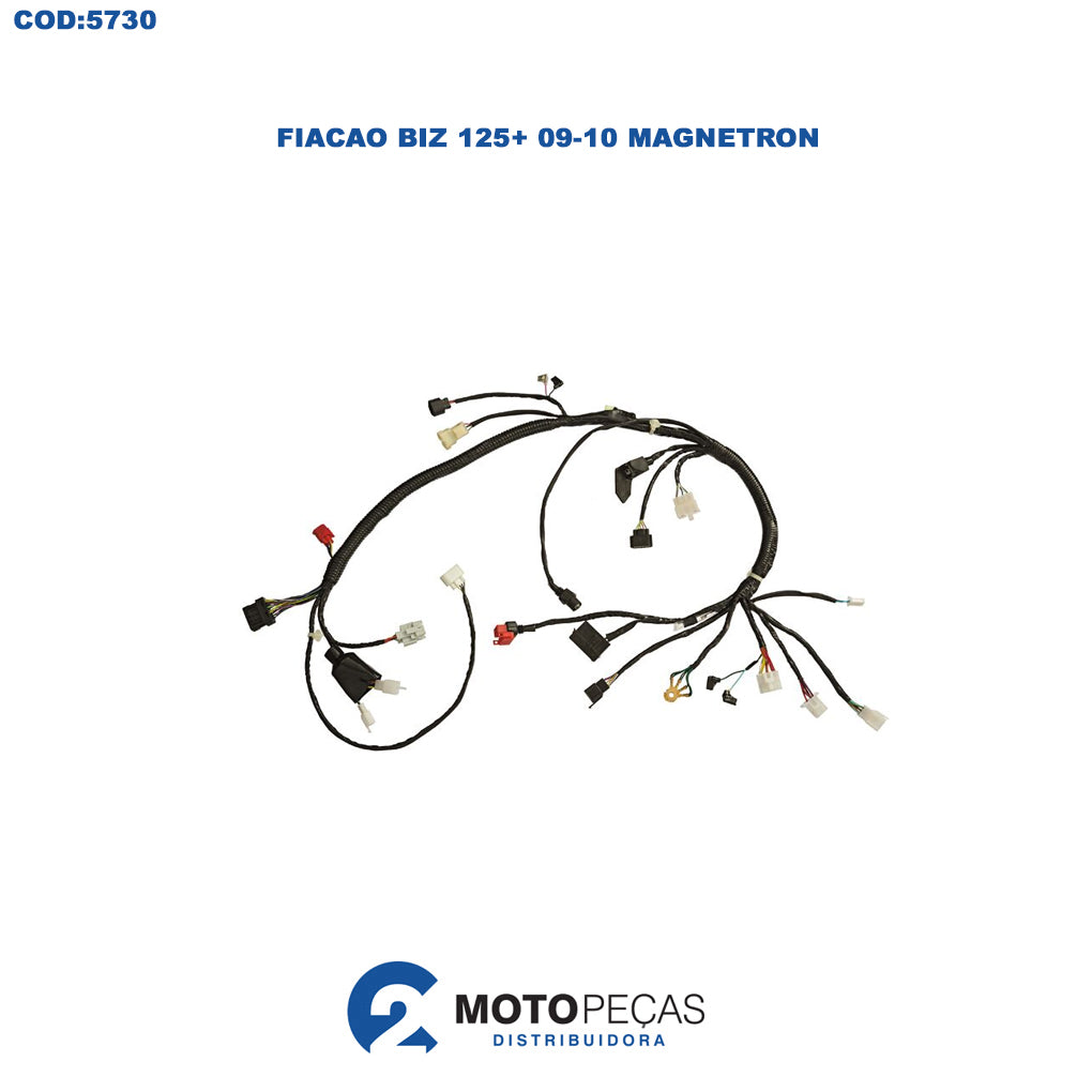 Fiacao Biz 125+ 0910 Magnetron