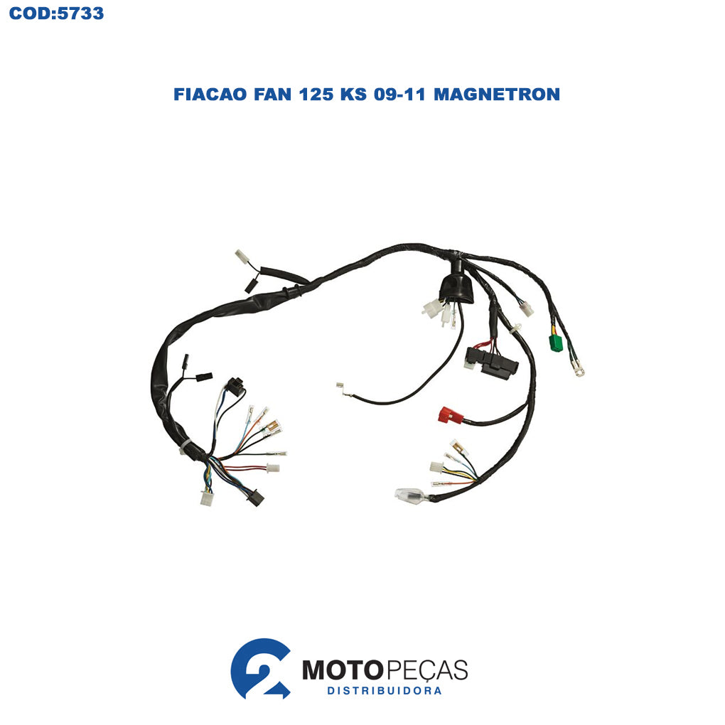 Fiacao Fan 125 KS 0911 Magnetron