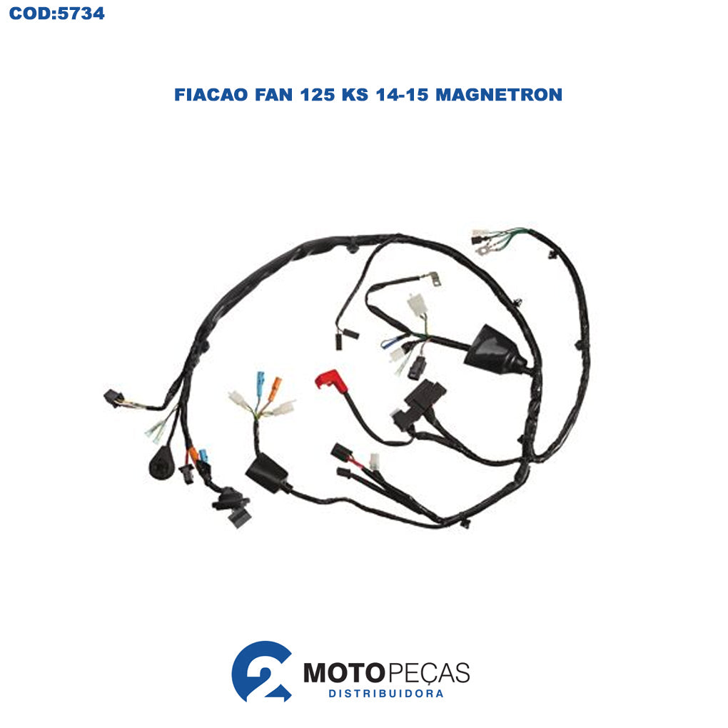 Fiacao Fan 125 KS 1415 Magnetron