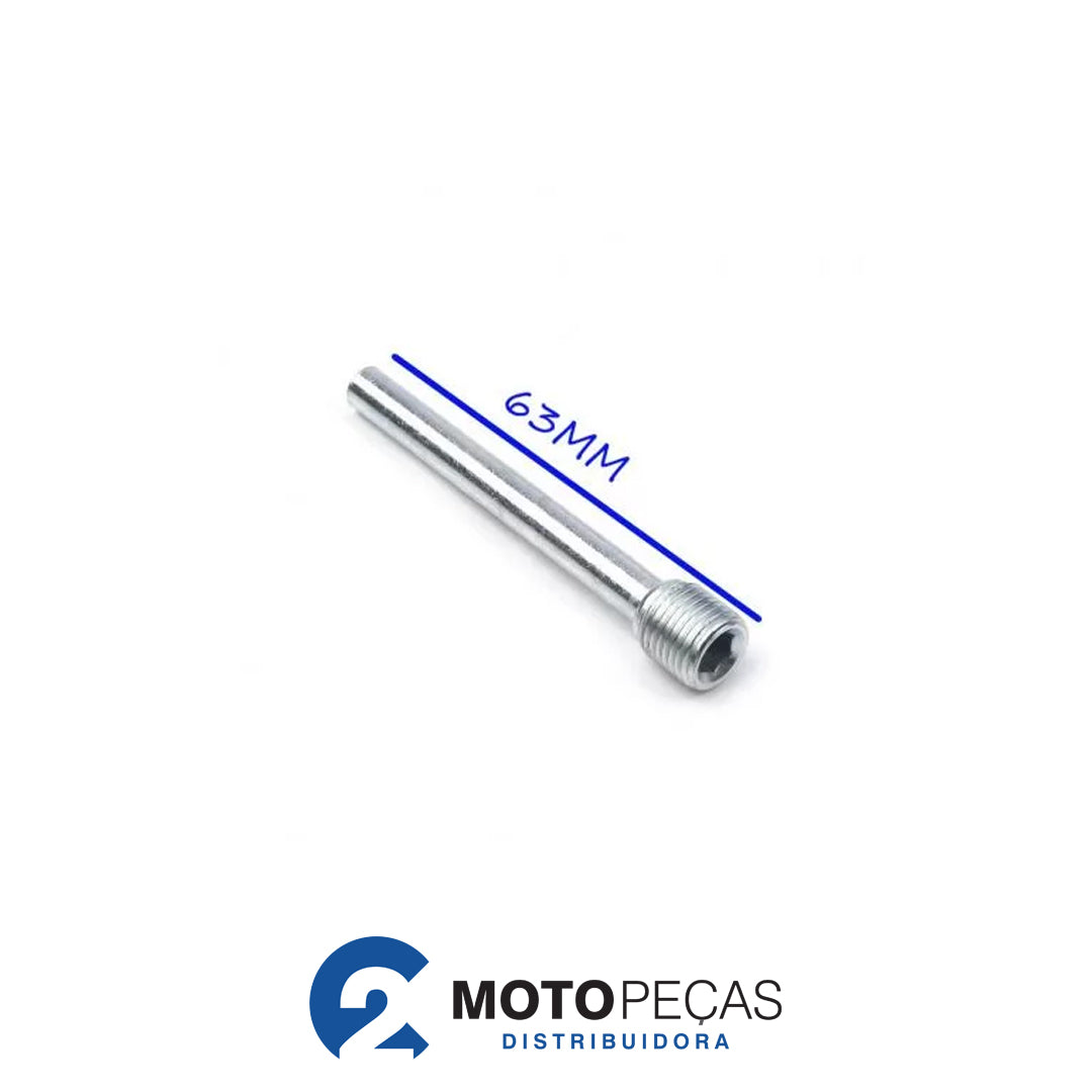 Parafuso Allen Pastilha Freio CBX 250 TWISTER/ CB 300 M3