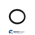 Guarn Bomba Gasolina Titan 150 09 / Fan 150 2009 / M3