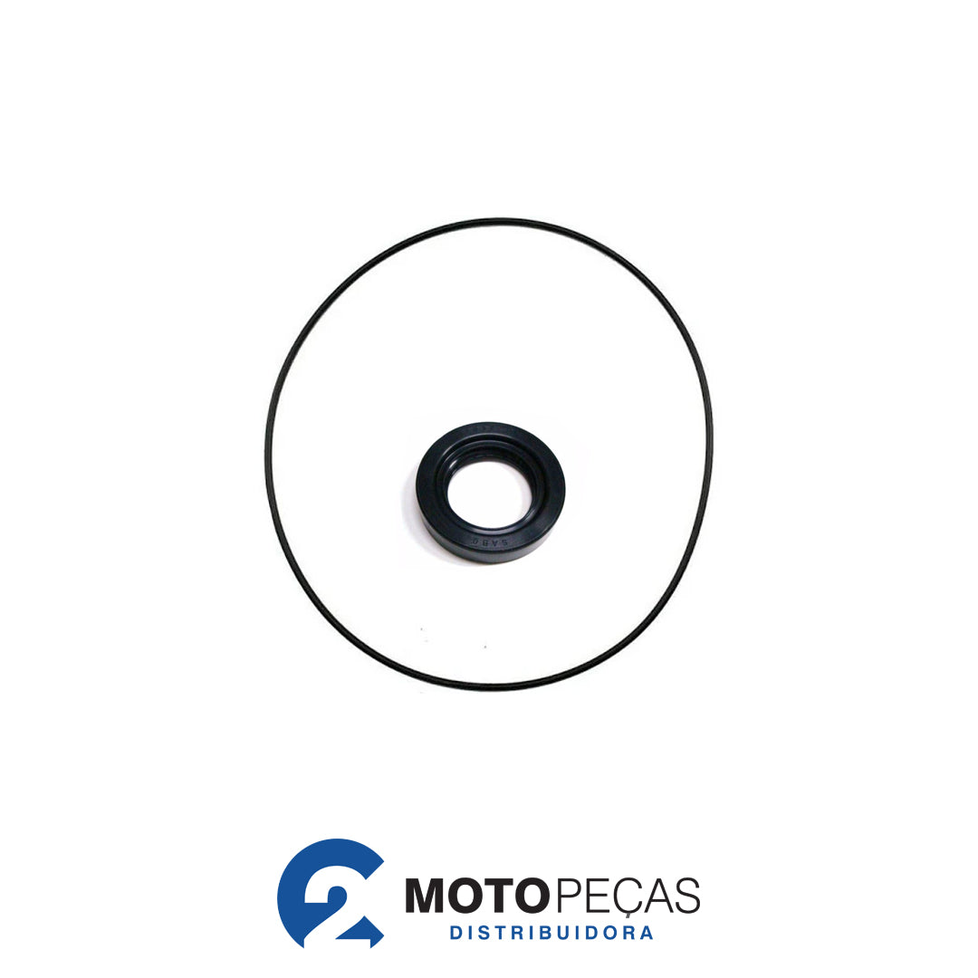 Kit Reparo Mesa Magneto Biz 100 05 / 13 KS/ Pop 100 07 / M3