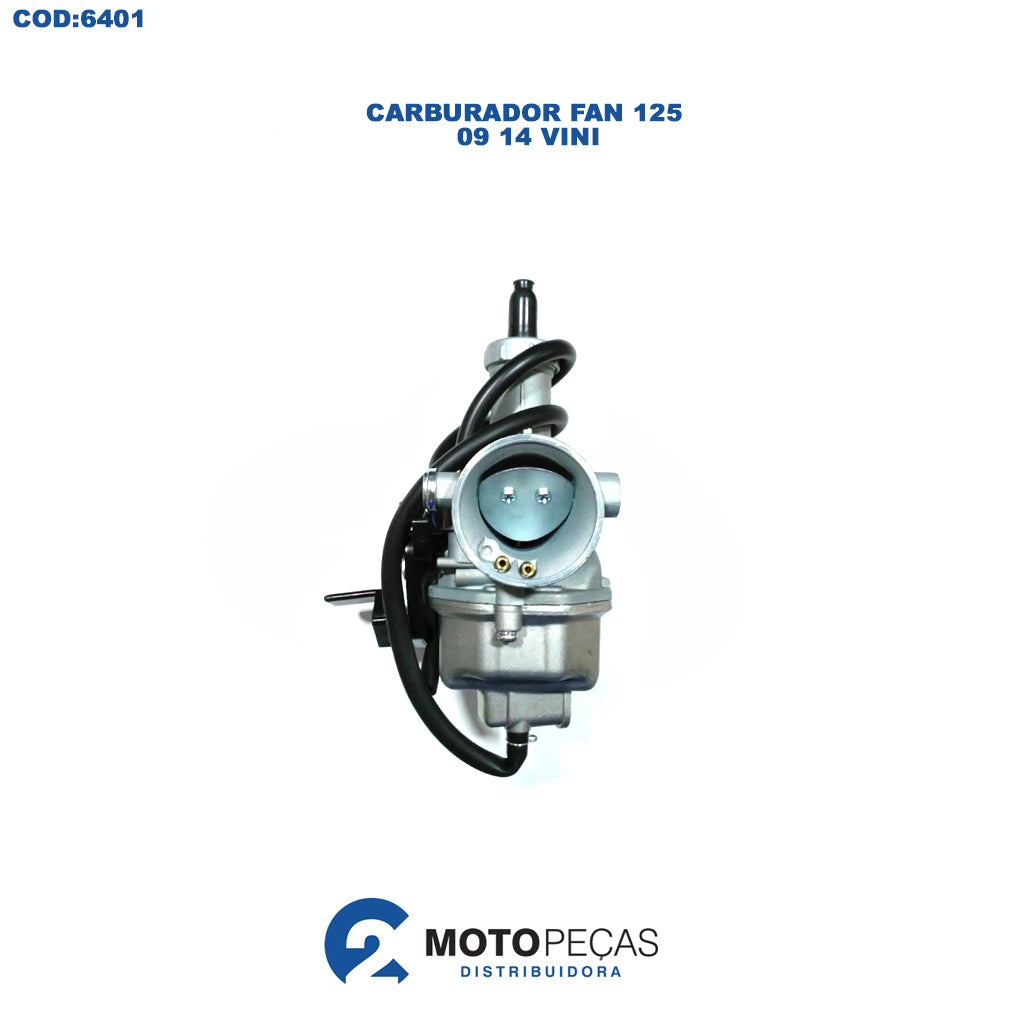 Carburador Fan 125 09 14 Vini