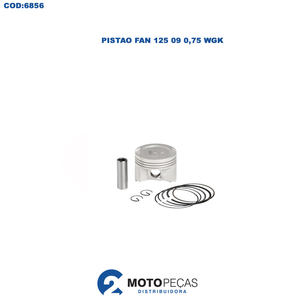 Pistao 0,75 Fan 125 09 WGK